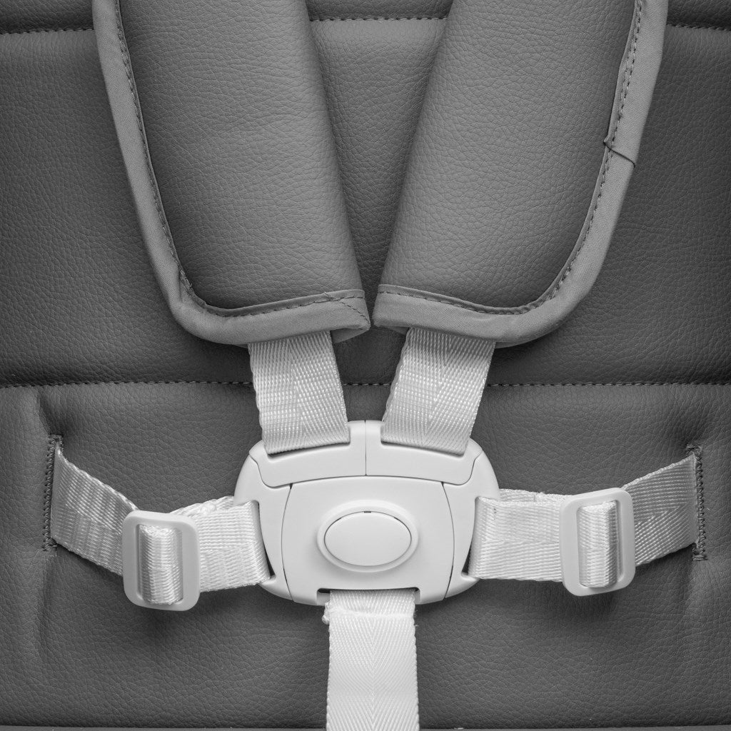 Scaun de masă 2 în 1 pentru copii SMART New Baby