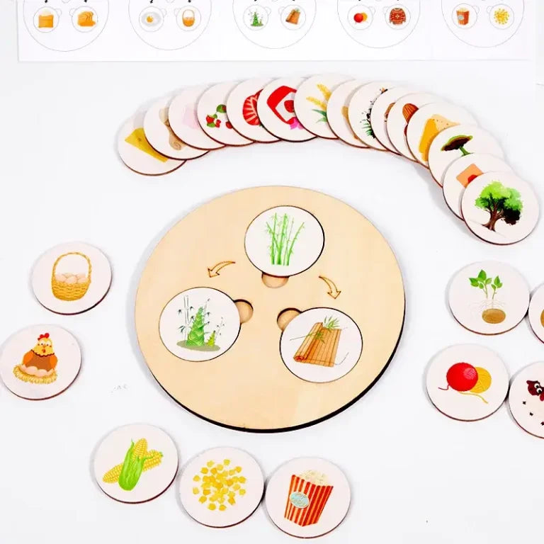 Puzzle educativ Montessori din lemn – Etapele vieții
